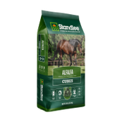 Alfalfa Cubes