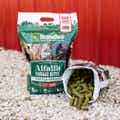 Alfalfa Forage Bites, Cattle Treats – Star Anise Flavored thumbnail #4
