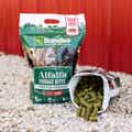 Alfalfa Forage Bites, Cattle Treats – Star Anise Flavored thumbnail #5