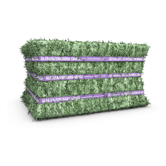 Alfalfa Orchard Compressed Bale