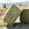 Alfalfa Orchard Grass Grab & Go Compressed Bale thumbnail #4
