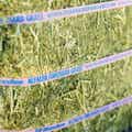 Alfalfa Orchard Grass Grab & Go Compressed Bale thumbnail #5