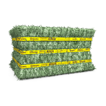 Certified Alfalfa Compressed Bale