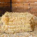 Certified Straw Compressed Bale thumbnail #4