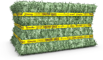 Certified Timothy Grass Compressed Bale