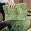 Certified Timothy Grass Compressed Bale thumbnail #5