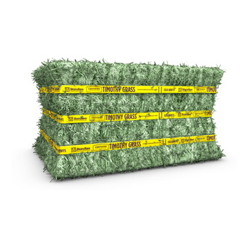 Certified Timothy Grass Compressed Bale