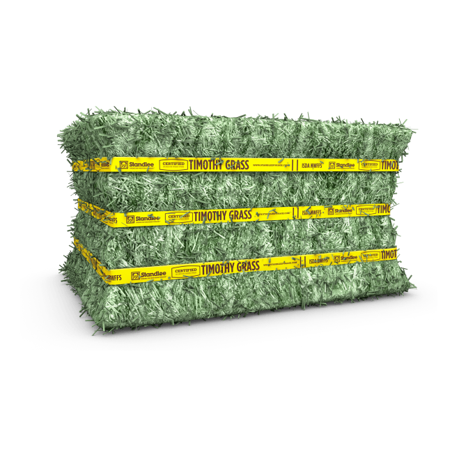 Certified Timothy Grass Compressed Bale