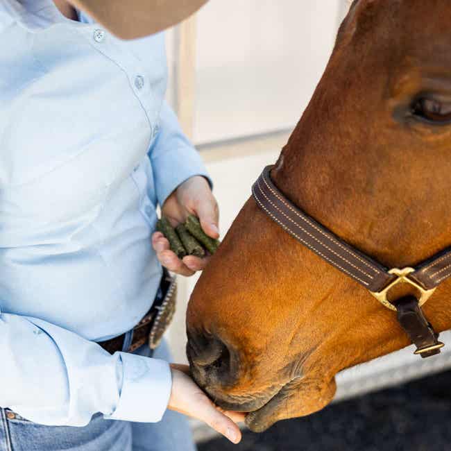 Horse being fed Apple Oat Bake treats