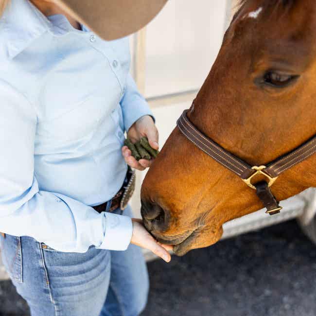Horse being fed Apple Oat Bake treats
