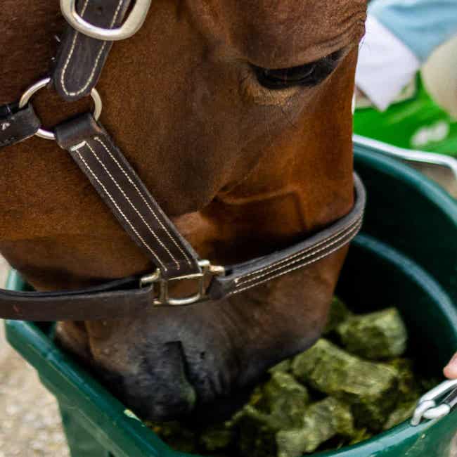Alfalfa Product Array.