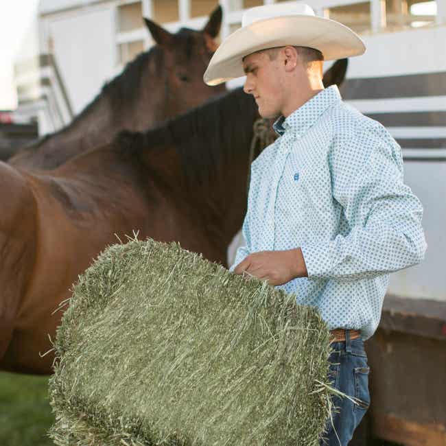 Man packing hay with horses