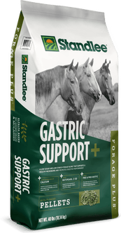 Forage Plus Gastric Support