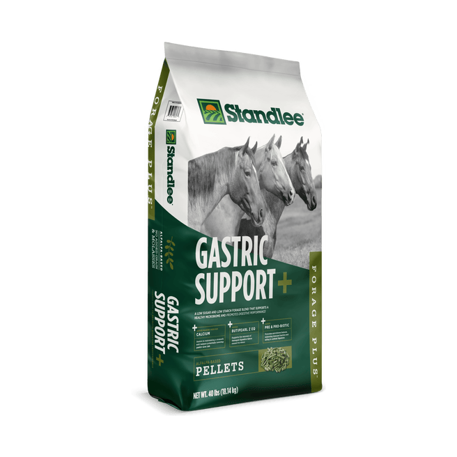 Forage Plus Gastric Support