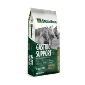 Forage Plus Gastric Support