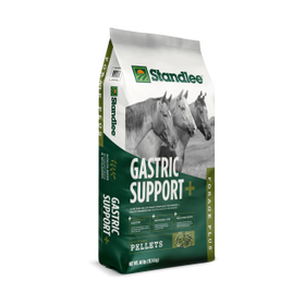 Forage Plus Gastric Support