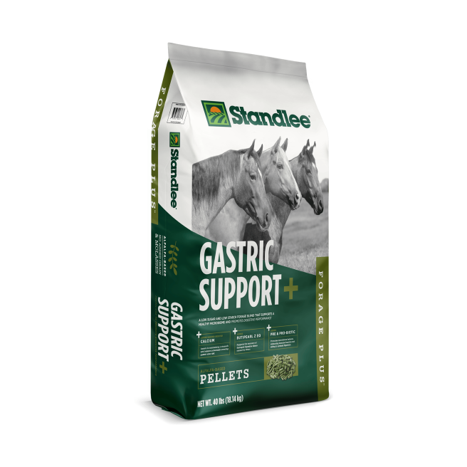 Forage Plus Gastric Support