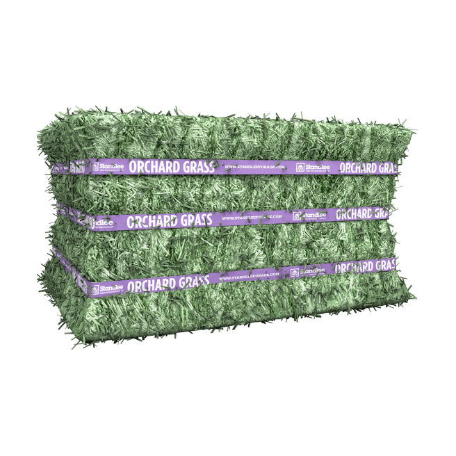 Orchard Grass Compressed Bale