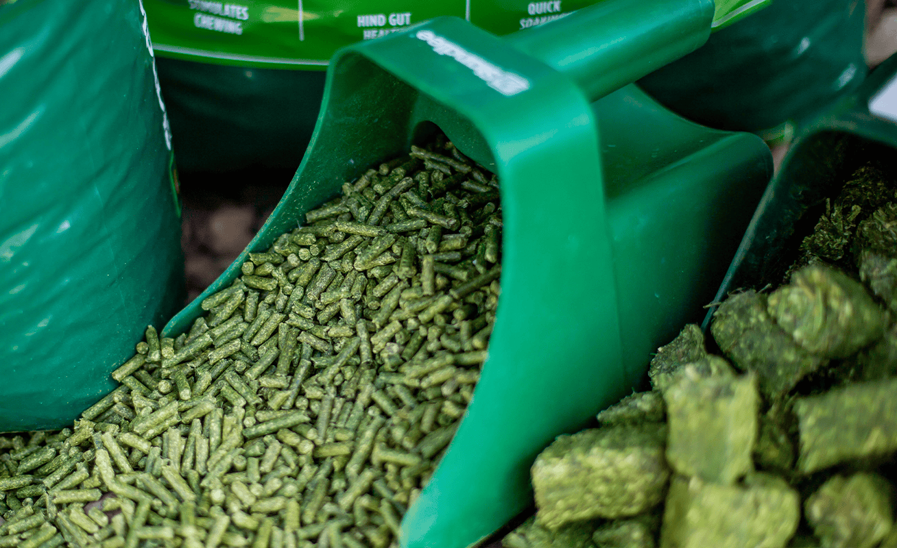 Alfalfa Mini Pellets, 40lb. | Quick Soaking & Supports Digestion