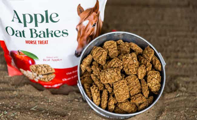 Bucket of Apple Oat Bakes horse treats