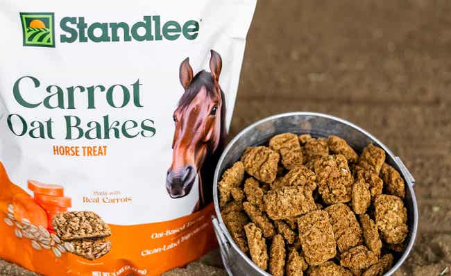 Bucket of Carrot Oat Bakes horse treats