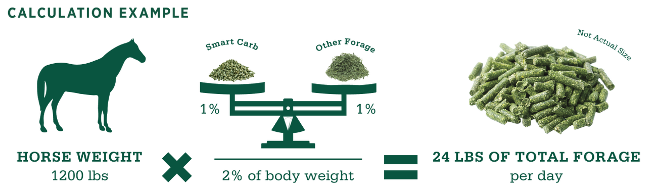 Smart Carb Performance | Standlee Premium Western Forage