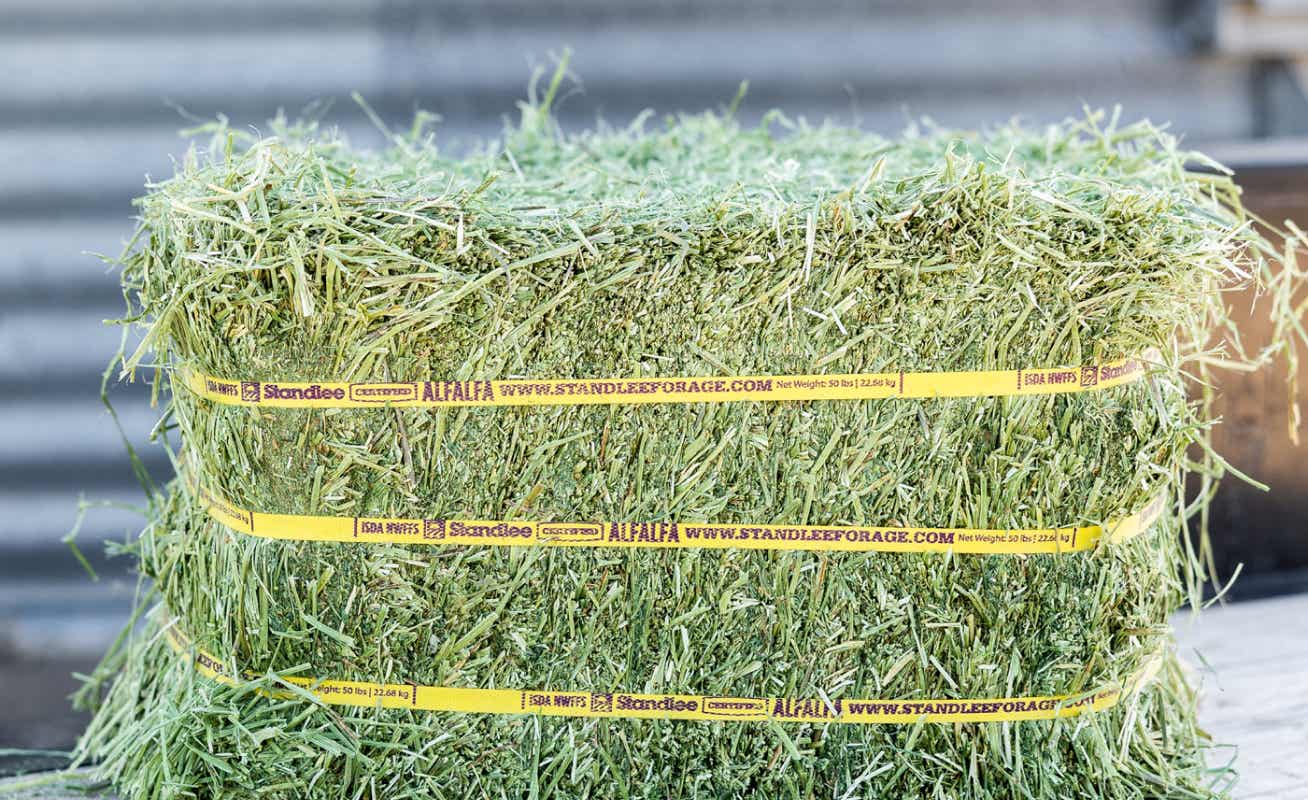 Certified Alfalfa Compressed Bale | Standlee Forage