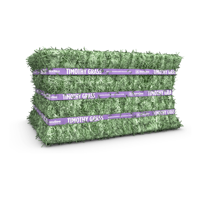 Timothy Grass Compressed Bale