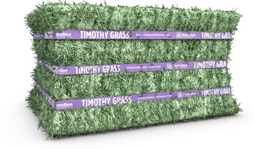 Timothy Grass Compressed Bale