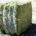 Timothy Grass Grab & Go Compressed Bale thumbnail #6
