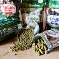Alfalfa Forage Bites – Very Berry Flavored Horse Treats thumbnail #10