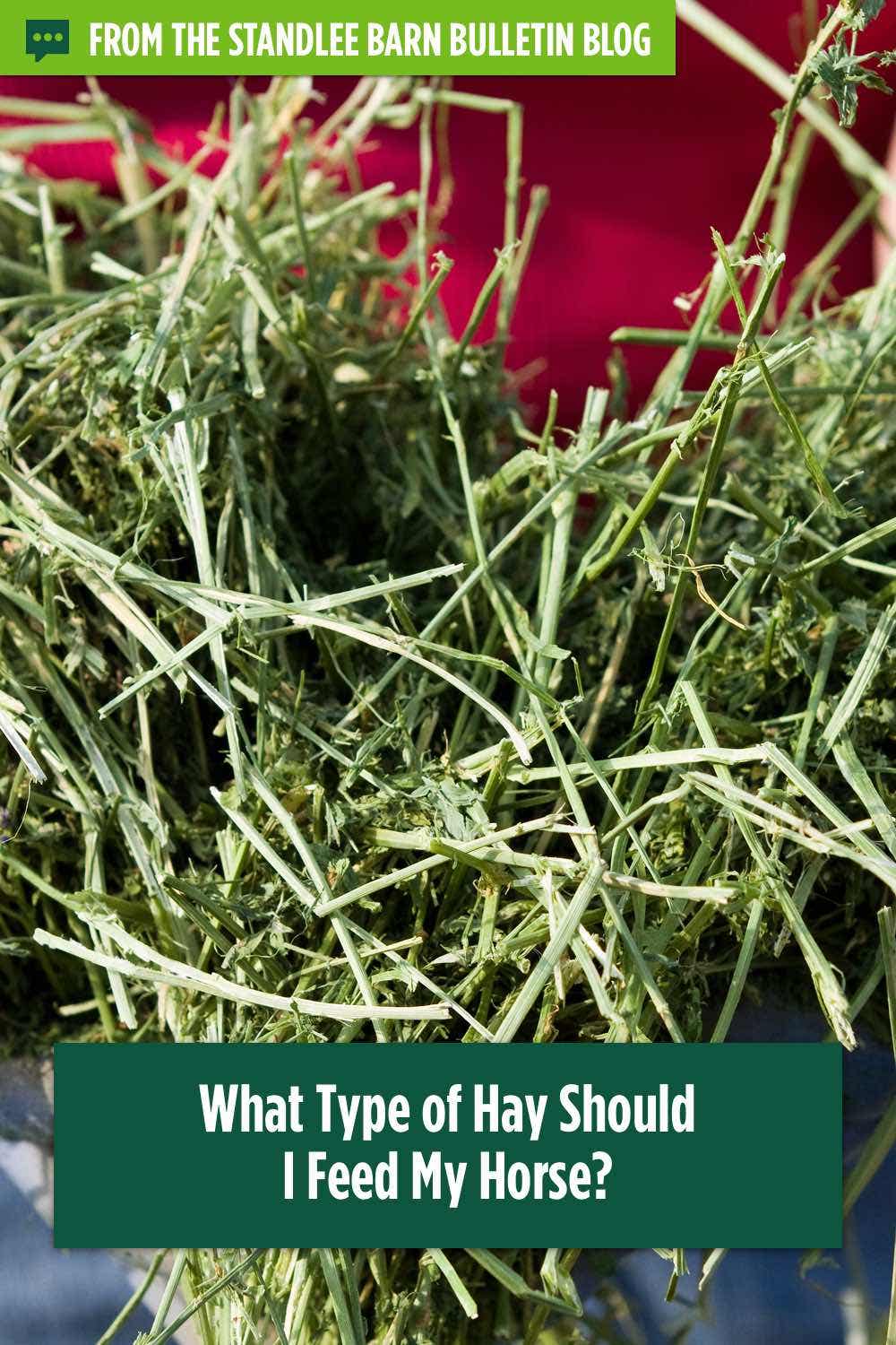 What is the Difference Between Hay, Straw and Premium Forage?