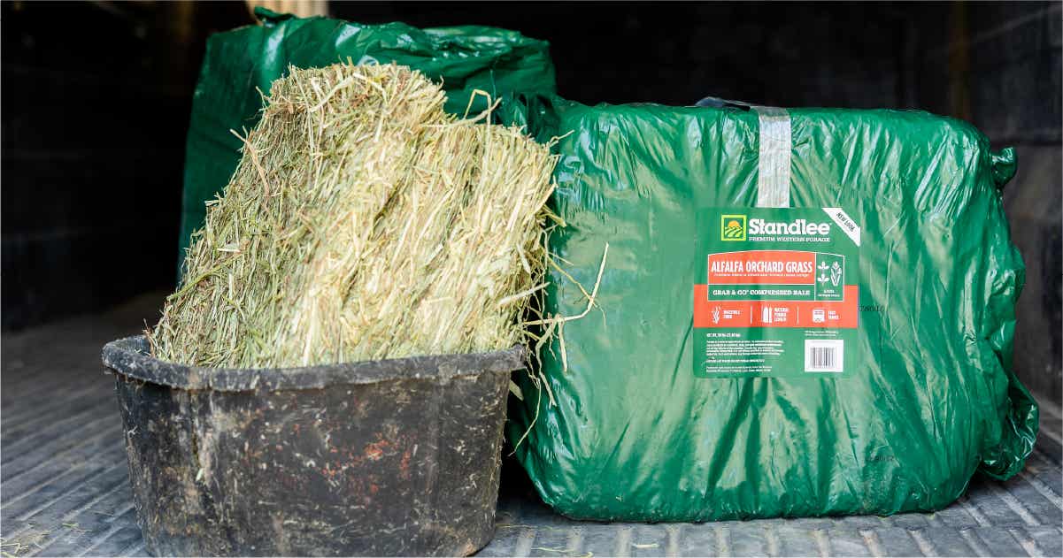 Premium Alfalfa Orchard Grass Grab & Go Compressed Bale