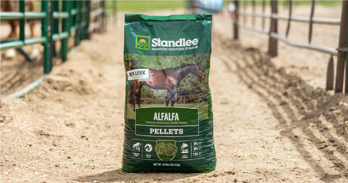Premium Alfalfa Pellets for Horses | Standlee