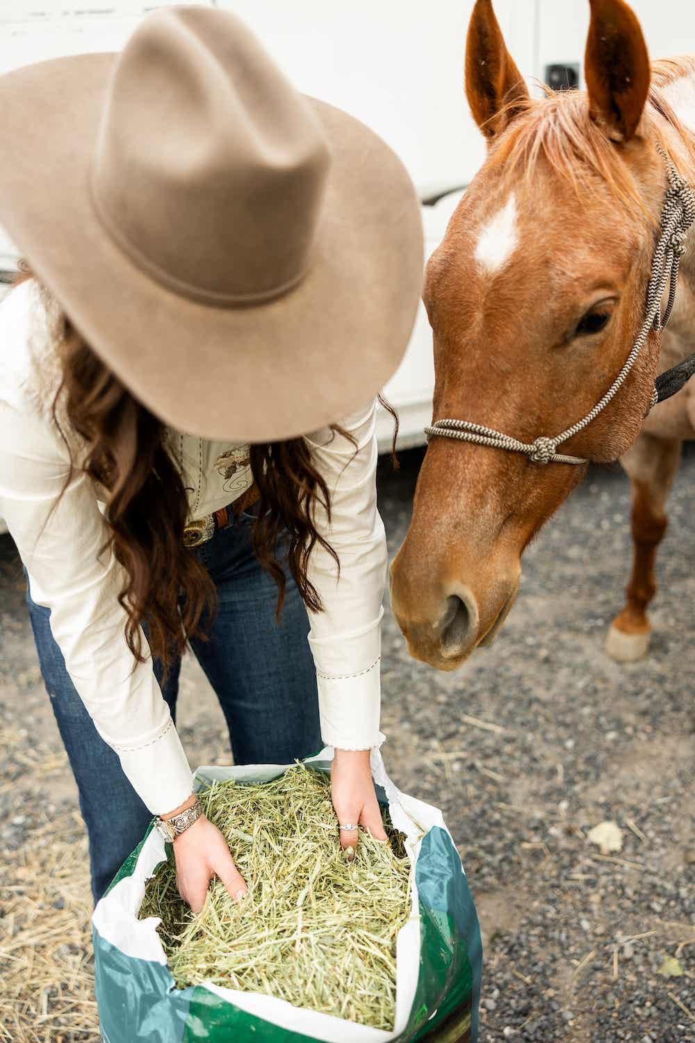 Premium Alfalfa Timothy Chopped Standlee Premium Forage