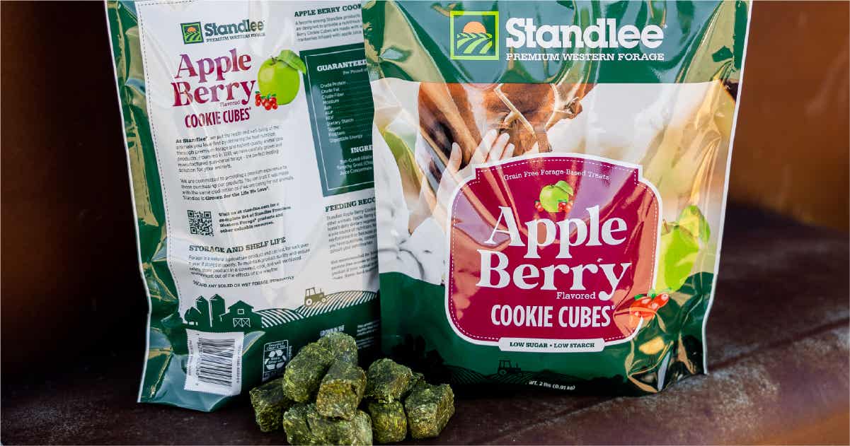 Apple Berry Cookie Cube All-Natural Grain Free Horse Treats