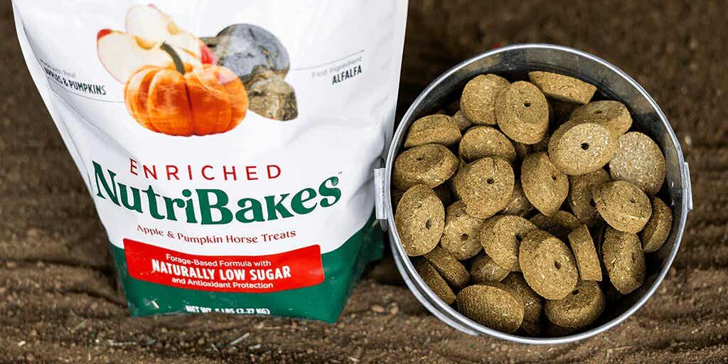 NutriBakes Apple & Pumpkin Horse Treats, 5 lb Bag
