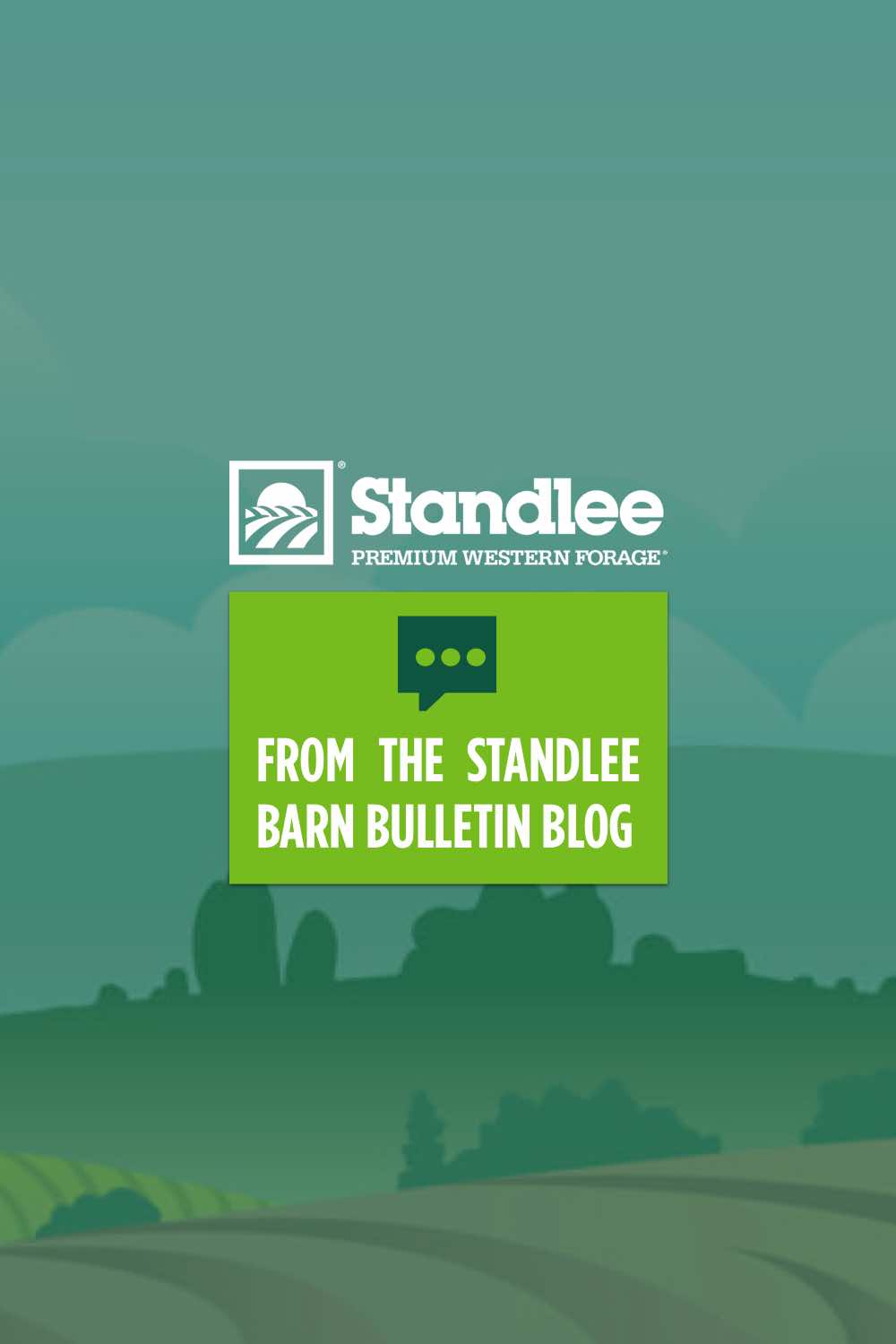 Benefits of Canola Oil for Horses