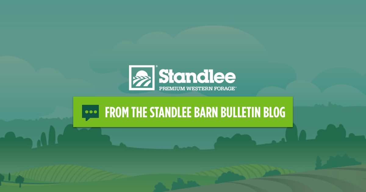 Benefits of Canola Oil for Horses