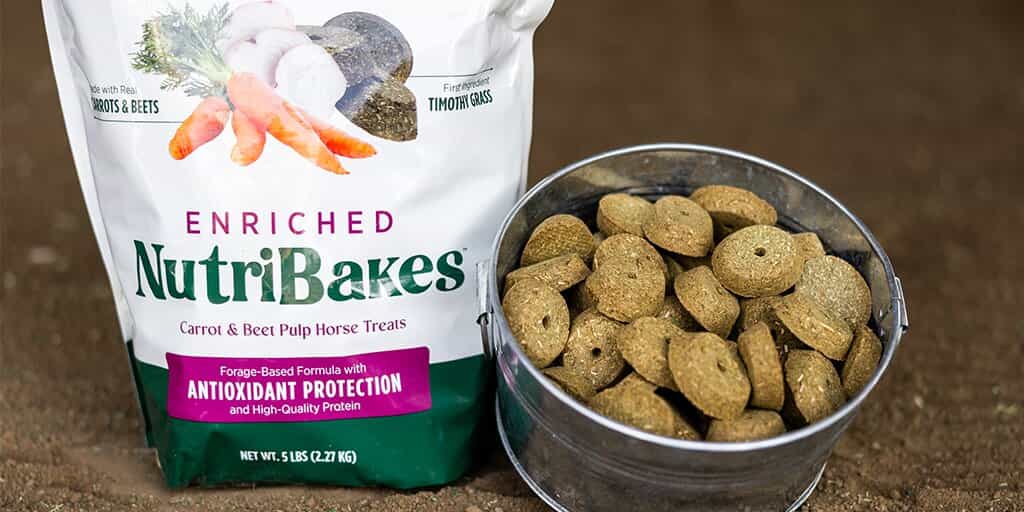 NutriBakes Carrot & Beet Pulp Horse Treats, 5 lb. Bag