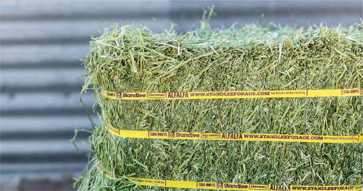 Certified Alfalfa Compressed Bale | Standlee Forage