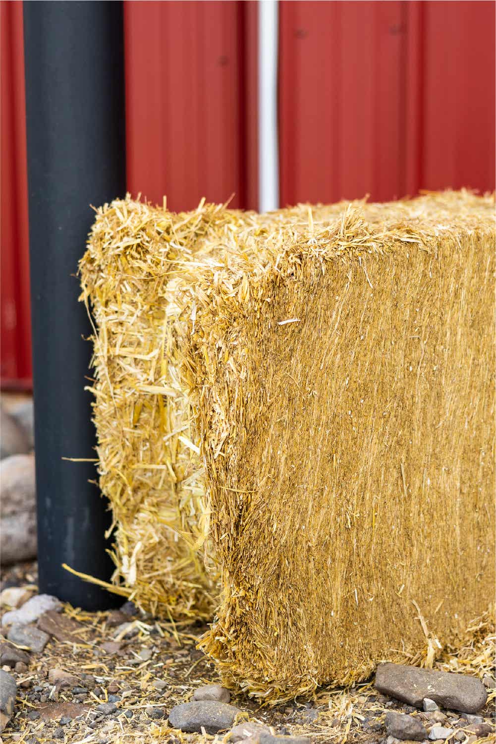 Certified Straw Compressed Bale Standlee Premium Forage