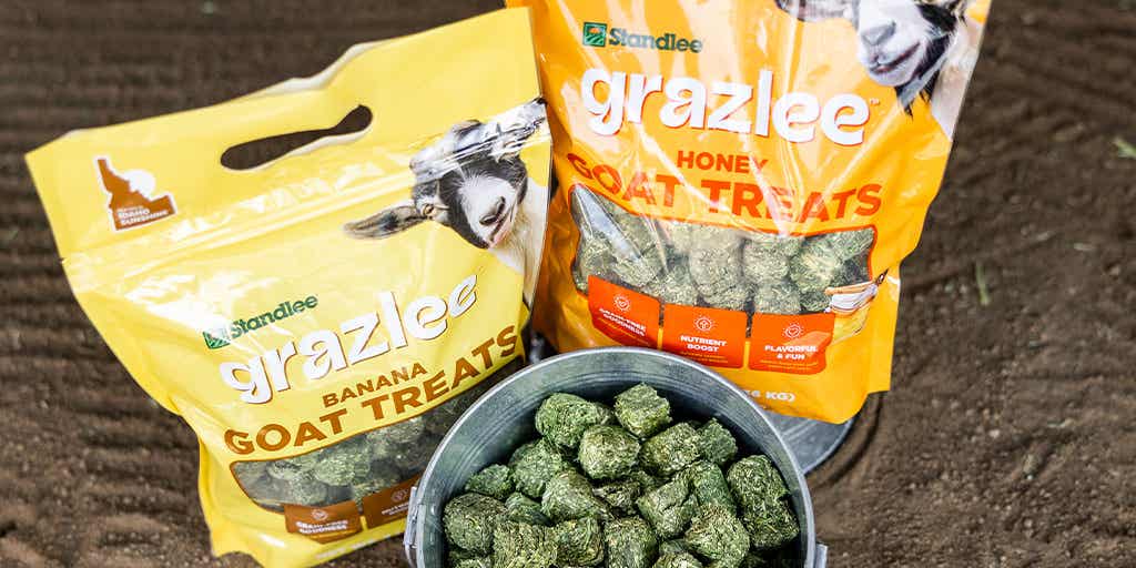 Grazlee Banana Goat Treats