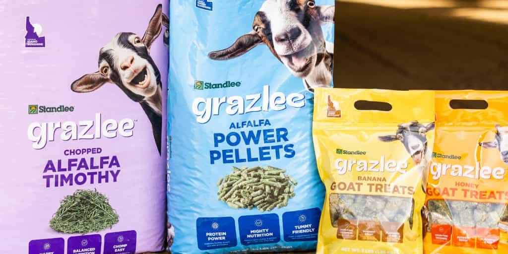 Grazlee: Forage-Based Nutrition for Goats & Livestock