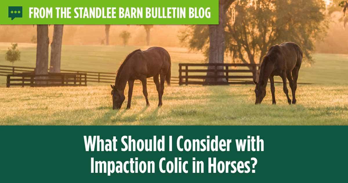 What Should I Consider with Impaction Colic in Horses?