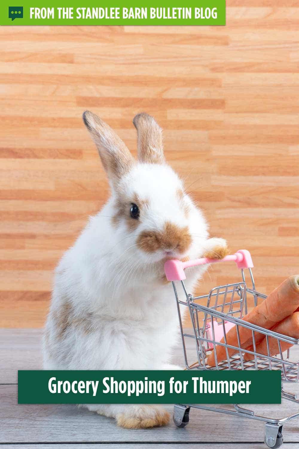 Grocery Shopping for Rabbit Food