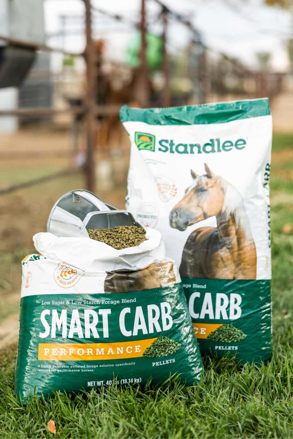 Smart Carb Performance | Standlee Premium Western Forage