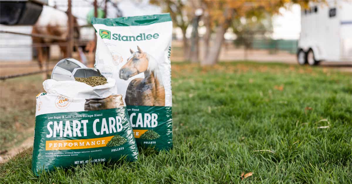 Smart Carb Performance — Low Sugar Horse Feed | Standlee