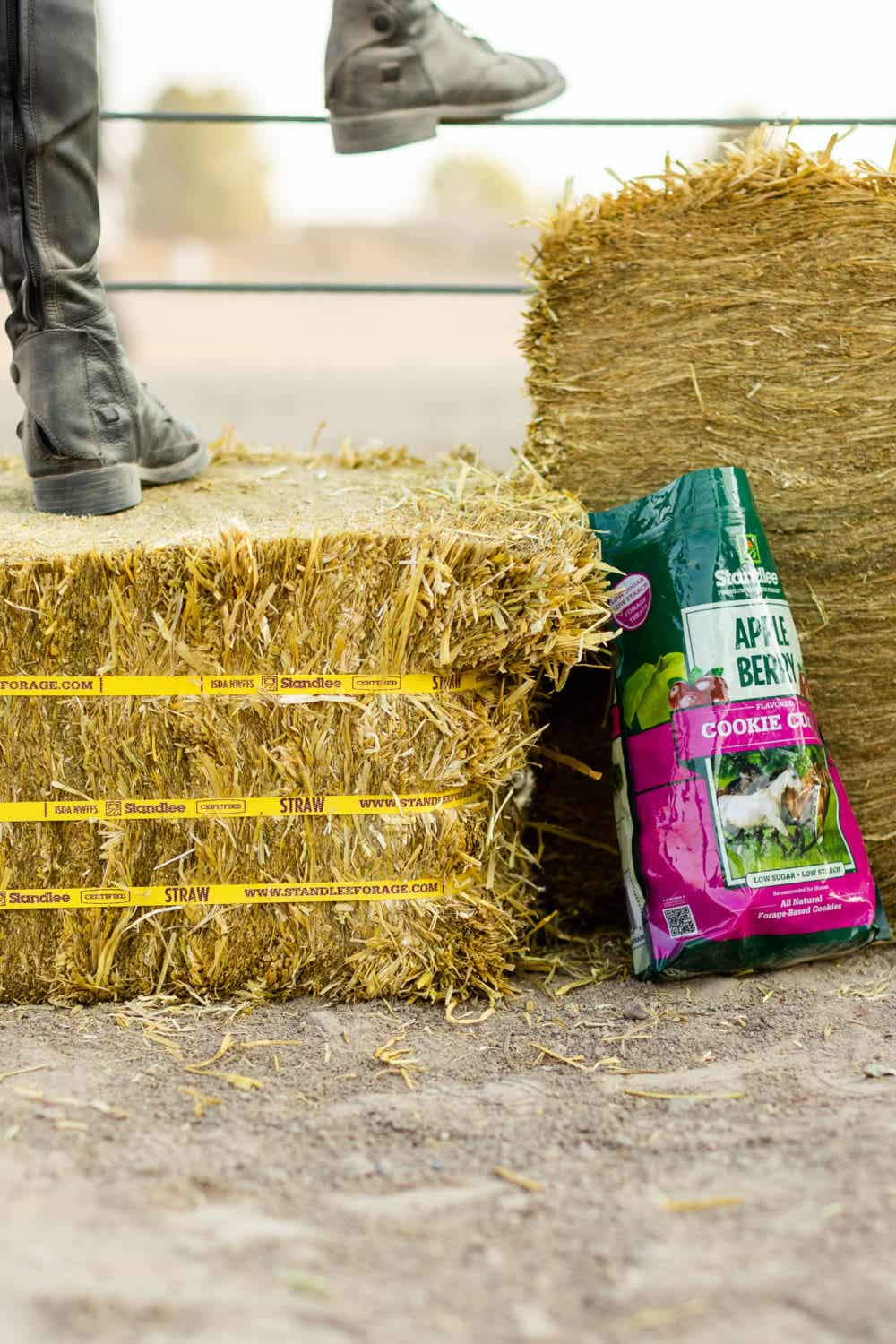 What is the Difference Between Hay, Straw and Premium Forage?