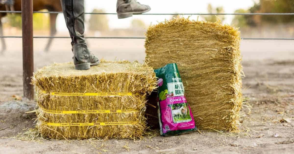 What is the Difference Between Hay, Straw and Premium Forage? What is the Difference Between Hay, Straw and Premium Forage?